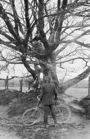 ST.FINTAN'S WELL A.HALT CONVERSATION WITH A PILGRIM IN THE TREE